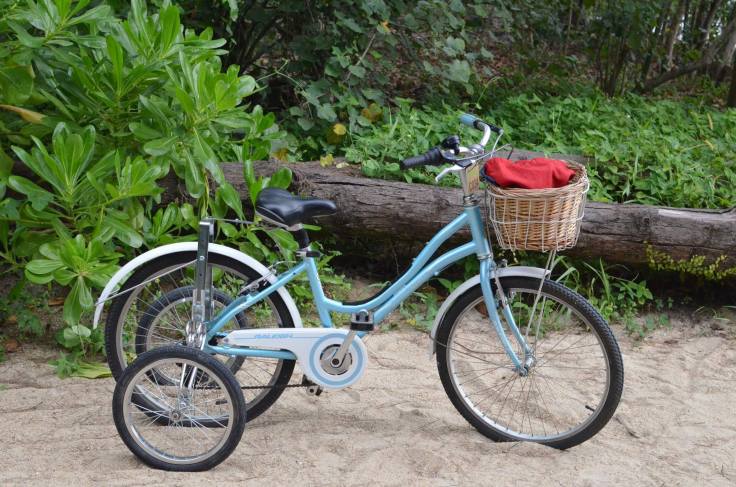 One of the pretty, little bikes you can rent in the island